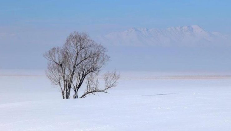 Çin’in kuzeyindeki Mohe’de son yarım asırın en soğuk gününü yaşadı! Termometreler -54’ü gösterdi